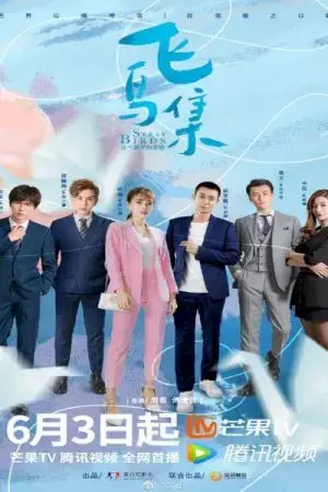 Bầy Chim Lạc Bầy Chim Lạc