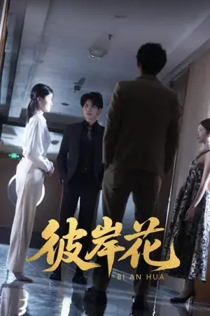 Hoa Bỉ Ngạn Hoa Bỉ Ngạn