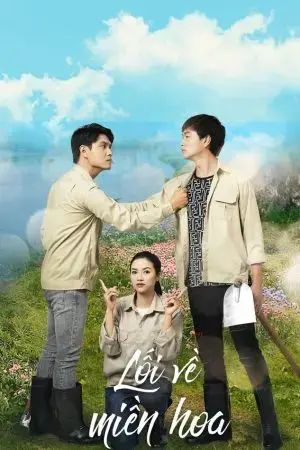 Lối Về Miền Hoa Lối Về Miền Hoa