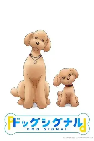 Tín Hiệu Cún Cưng Tín Hiệu Cún Cưng